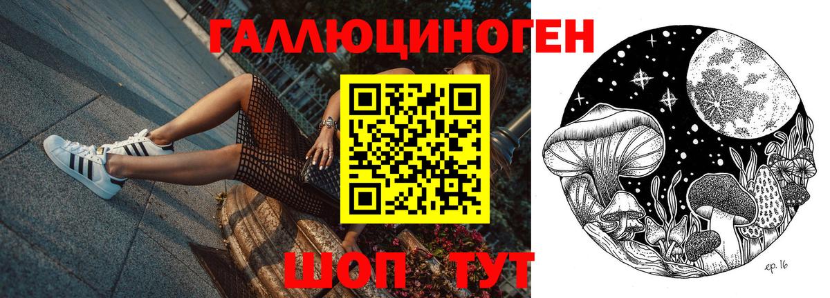 Галлюциногенные грибы MAGIC MUSHROOMS  Вход с VPN  Кузнецк 